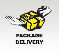 yellow cab package service